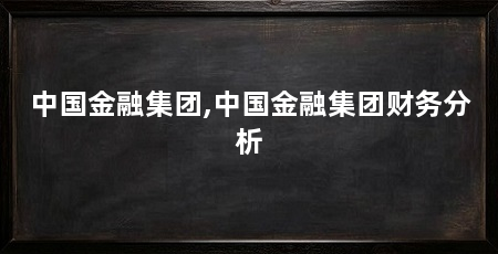 中国金融集团,中国金融集团财务分析