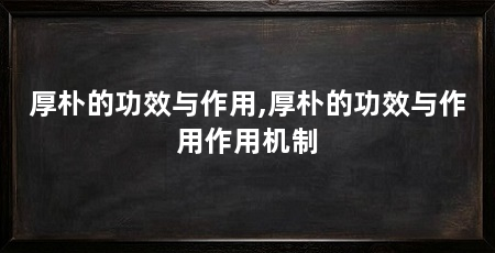 厚朴的功效与作用,厚朴的功效与作用作用机制