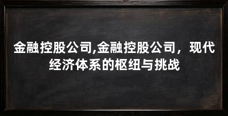 金融控股公司,金融控股公司，现代经济体系的枢纽与挑战
