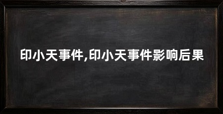 印小天事件,印小天事件影响后果