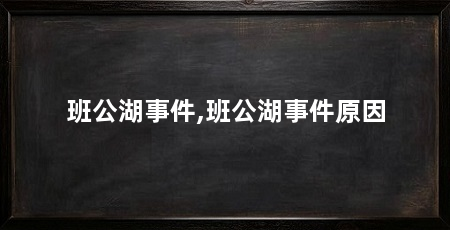 班公湖事件,班公湖事件原因