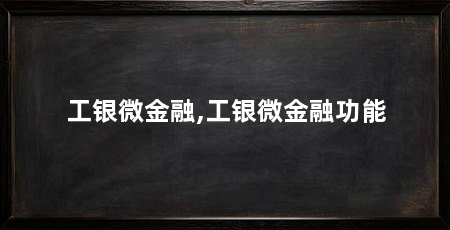 工银微金融,工银微金融功能
