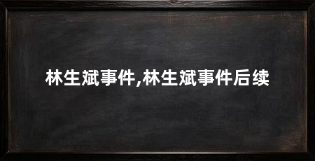 林生斌事件,林生斌事件后续