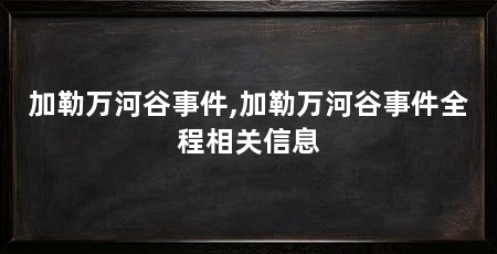 加勒万河谷事件,加勒万河谷事件全程相关信息