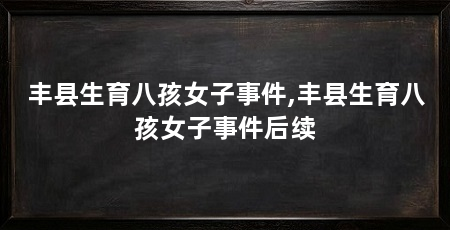 丰县生育八孩女子事件,丰县生育八孩女子事件后续