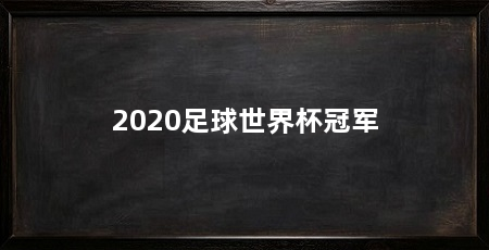 2020足球世界杯冠军