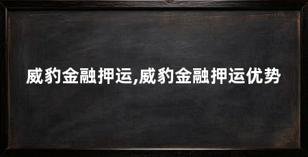 威豹金融押运,威豹金融押运优势
