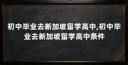 初中毕业去新加坡留学高中,初中毕业去新加坡留学高中条件