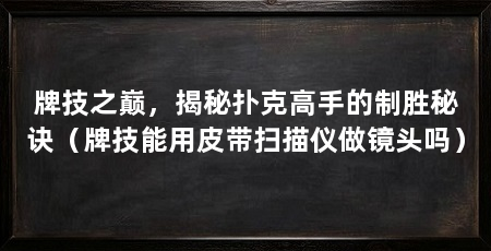 牌技之巅,揭秘扑克高手的制胜秘诀(牌技能用皮带扫描仪做镜头吗)