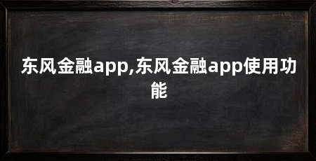 东风金融app,东风金融app使用功能