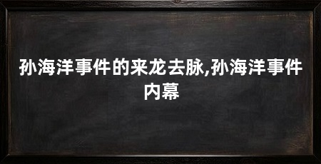 孙海洋事件的来龙去脉,孙海洋事件内幕