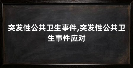 突发性公共卫生事件,突发性公共卫生事件应对