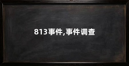 813事件,事件调查