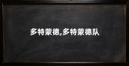 多特蒙德,多特蒙德队