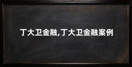 丁大卫金融,丁大卫金融案例