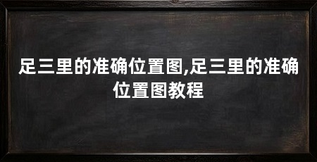 足三里的准确位置图,足三里的准确位置图教程