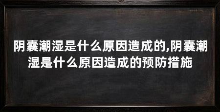 阴囊潮湿是什么原因造成的,阴囊潮湿是什么原因造成的预防措施