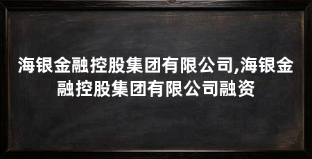 海银金融控股集团有限公司,海银金融控股集团有限公司融资