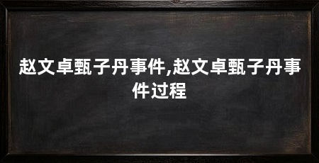 赵文卓甄子丹事件,赵文卓甄子丹事件过程