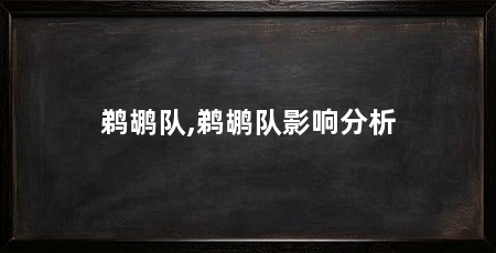 鹈鹕队,鹈鹕队影响分析