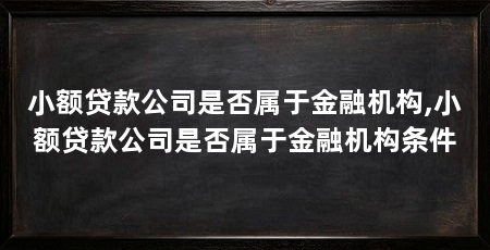 小额贷款公司是否属于金融机构,小额贷款公司是否属于金融机构条件