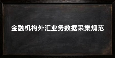 金融机构外汇业务数据采集规范