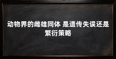动物界的雌雄同体 是遗传失误还是繁衍策略