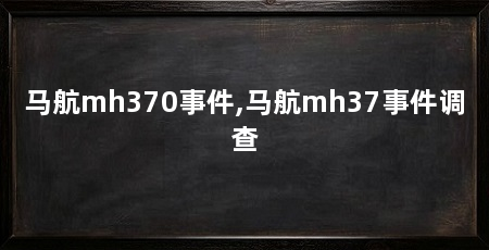 马航mh370事件,马航mh37事件调查