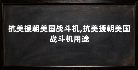 抗美援朝美国战斗机,抗美援朝美国战斗机用途