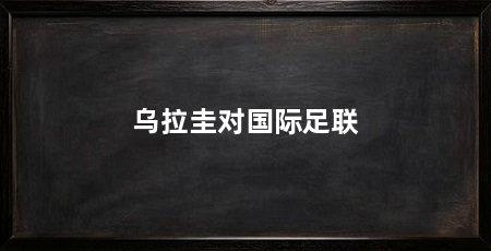 乌拉圭对国际足联