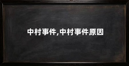 中村事件,中村事件原因