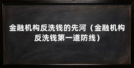 金融机构反洗钱的先河（金融机构反洗钱第一道防线）