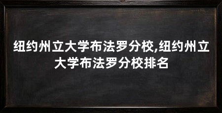 纽约州立大学布法罗分校,纽约州立大学布法罗分校排名