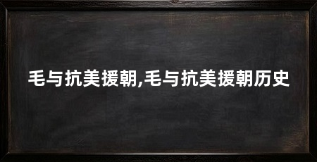毛与抗美援朝,毛与抗美援朝历史
