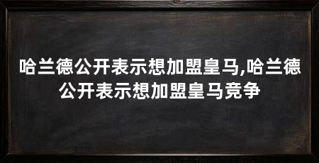 哈兰德公开表示想加盟皇马,哈兰德公开表示想加盟皇马竞争