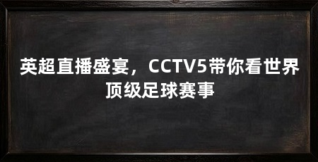 英超直播盛宴,CCTV5带你看世界顶级足球赛事