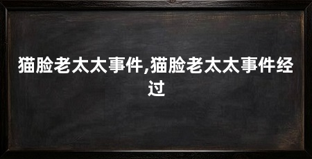 猫脸老太太事件,猫脸老太太事件经过