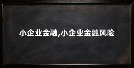 小企业金融,小企业金融风险