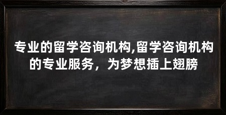 专业的留学咨询机构,留学咨询机构的专业服务，为梦想插上翅膀