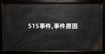 515事件,事件原因