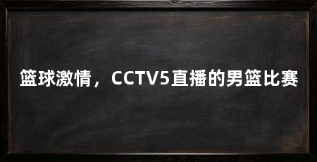 篮球激情,CCTV5直播的男篮比赛