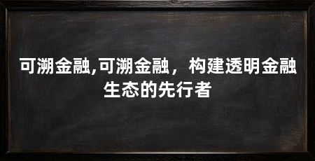 可溯金融,可溯金融，构建透明金融生态的先行者