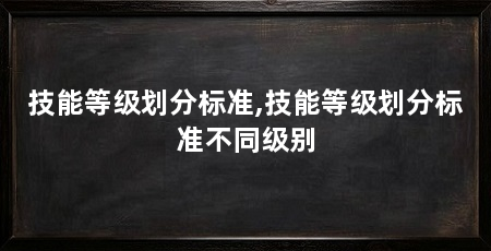 技能等级划分标准,技能等级划分标准不同级别