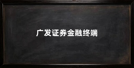 广发证券金融终端