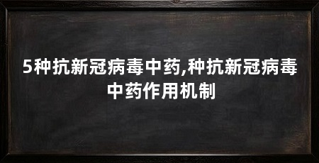 5种抗新冠病毒中药,种抗新冠病毒中药作用机制