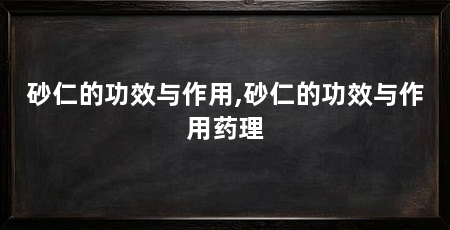 砂仁的功效与作用,砂仁的功效与作用药理