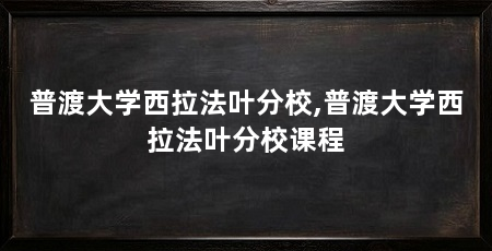 普渡大学西拉法叶分校,普渡大学西拉法叶分校课程