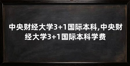 中央财经大学3+1国际本科,中央财经大学3+1国际本科学费