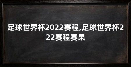 足球世界杯2022赛程,足球世界杯222赛程赛果