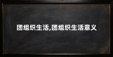 团组织生活,团组织生活意义